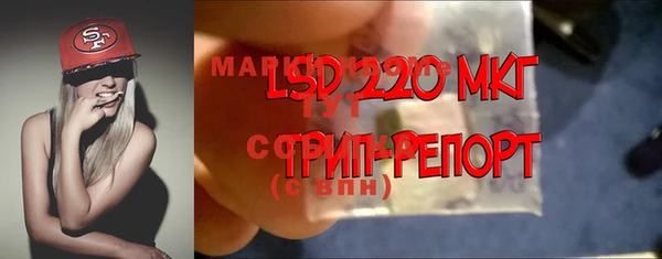 дурь Алзамай